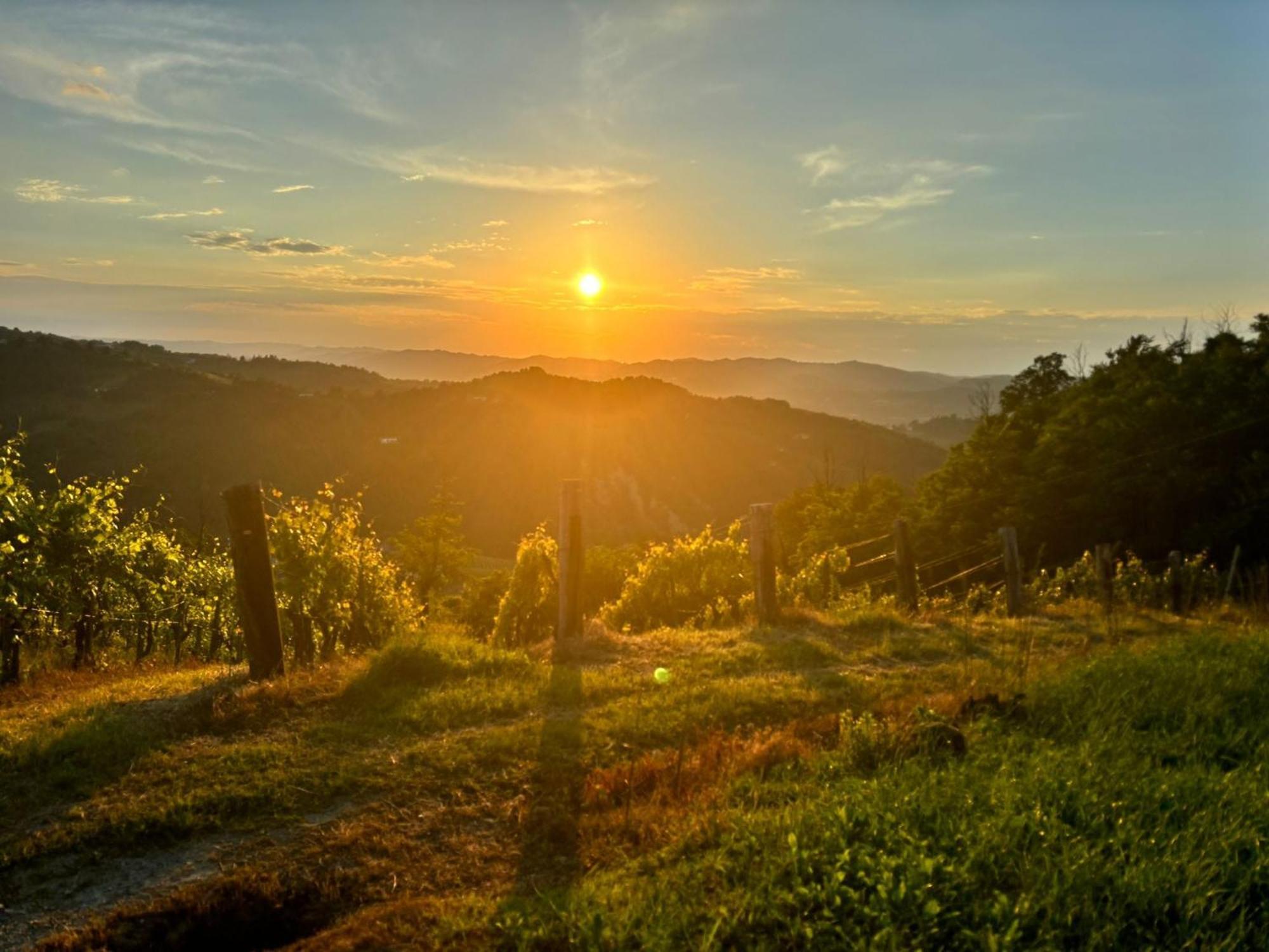 1929 Wine Food Relax Agriturismo Acqui Terme Exterior foto